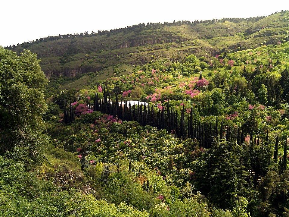 Tbilisi National Botanical Garden
