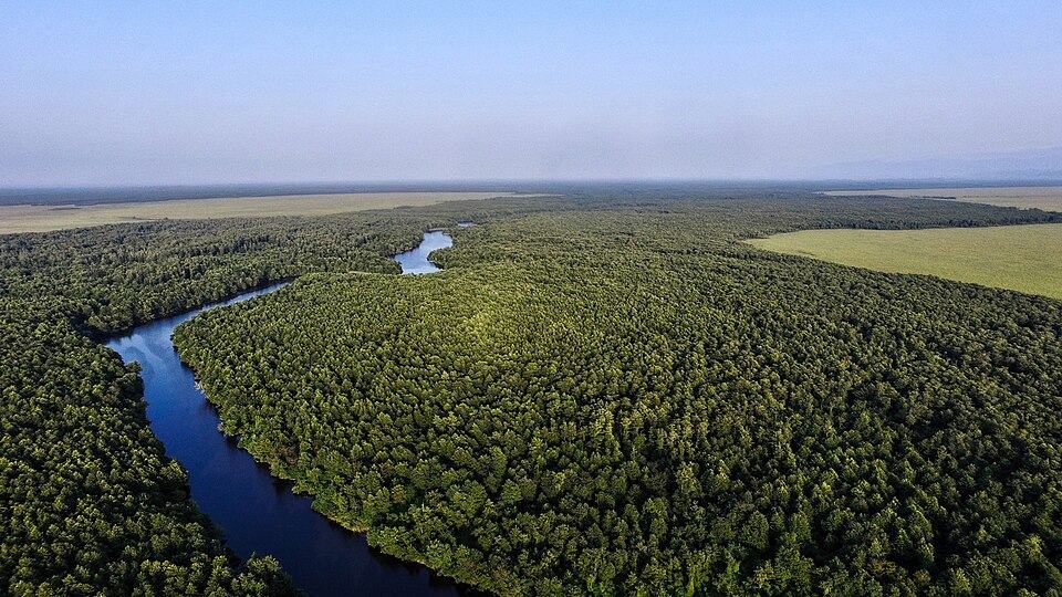 Kolkheti National Park and Paliastomi Lake