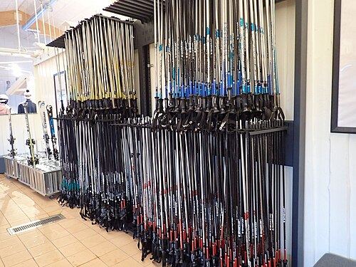Rental skis